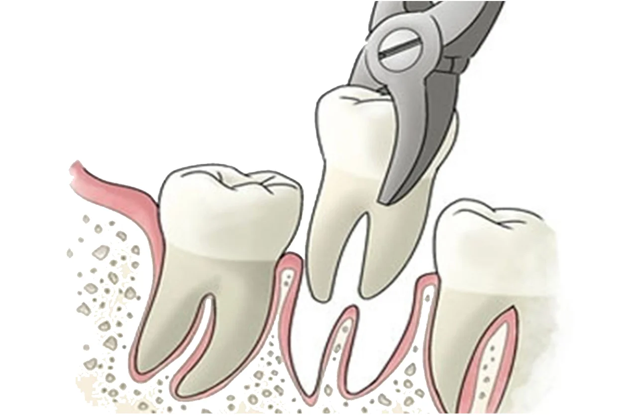 Kamal Dental Clinic